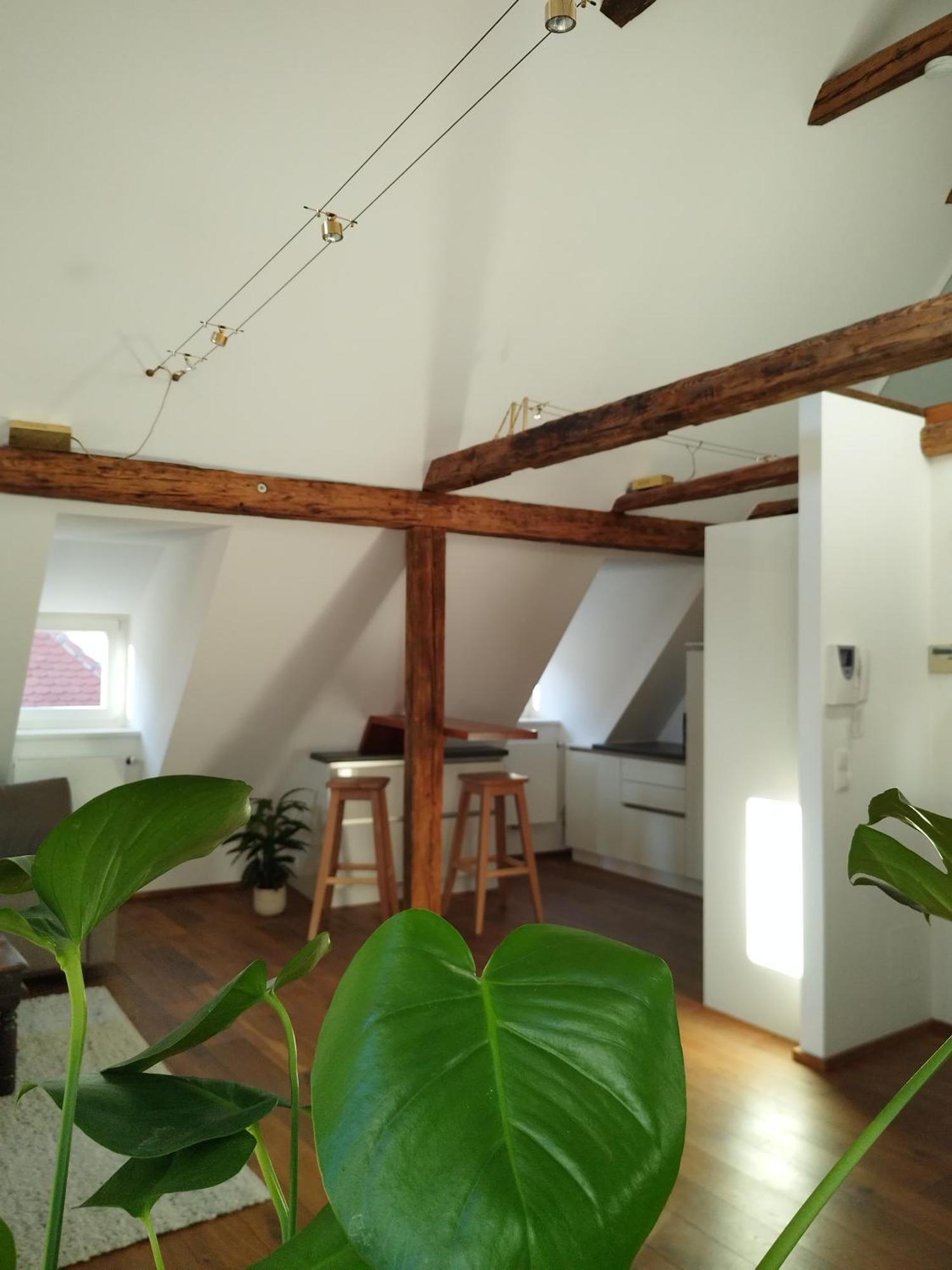 Goldene Pastete - Urban Luxury Apartments Грац Экстерьер фото